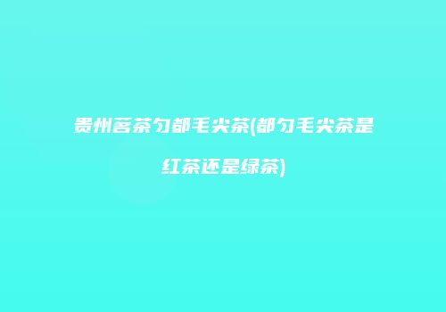 贵州茗茶匀都毛尖茶(都匀毛尖茶是红茶还是绿茶)