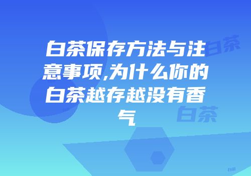 白茶保存方法与注意事项,为什么你的白茶越存越没有香气