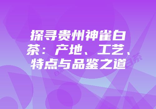 探寻贵州神雀白茶：产地、工艺、特点与品鉴之道