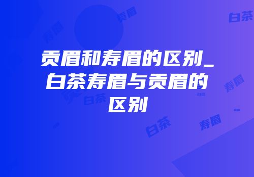 贡眉和寿眉的区别_白茶寿眉与贡眉的区别