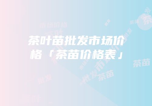 茶叶苗批发市场价格「茶苗价格表」