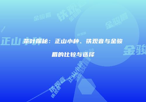 茶叶探秘：正山小种、铁观音与金骏眉的比较与选择