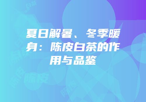 夏日解暑、冬季暖身：陈皮白茶的作用与品鉴