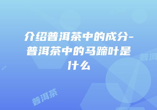 介绍普洱茶中的成分-普洱茶中的马蹄叶是什么