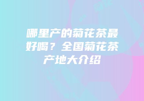 哪里产的菊花茶最好喝？全国菊花茶产地大介绍