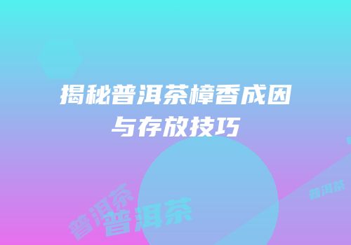 揭秘普洱茶樟香成因与存放技巧