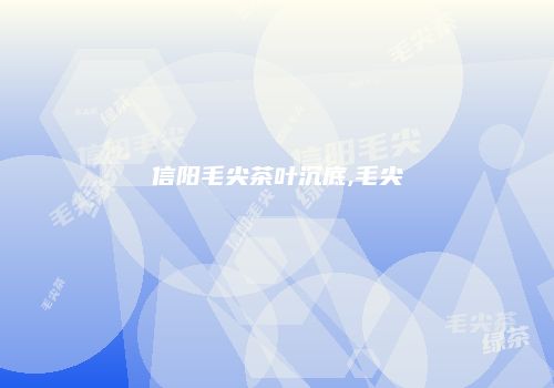 信阳毛尖茶叶沉底,毛尖