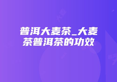 普洱大麦茶_大麦茶普洱茶的功效