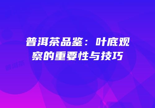 普洱茶品鉴：叶底观察的重要性与技巧