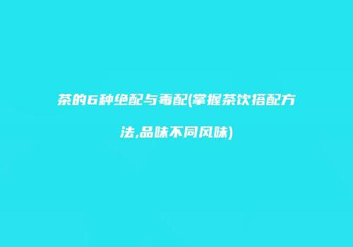 茶的6种绝配与毒配(掌握茶饮搭配方法,品味不同风味)