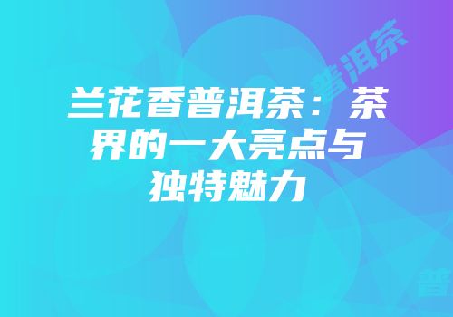 兰花香普洱茶：茶界的一大亮点与独特魅力