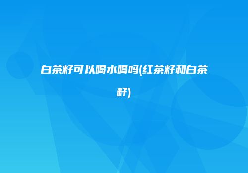 白茶籽可以喝水喝吗(红茶籽和白茶籽)