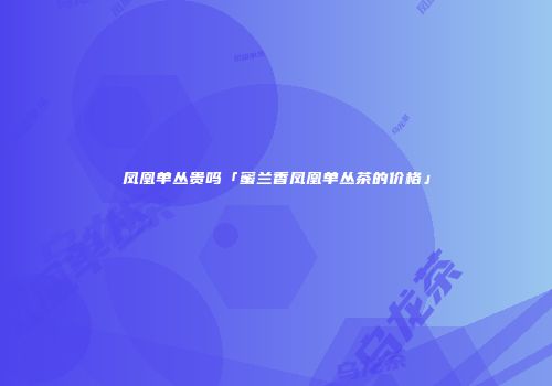 凤凰单丛贵吗「蜜兰香凤凰单丛茶的价格」