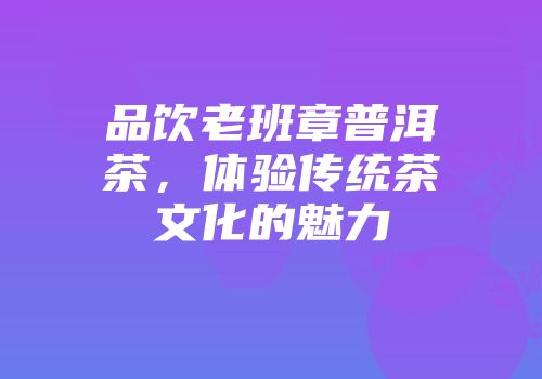 品饮老班章普洱茶，体验传统茶文化的魅力