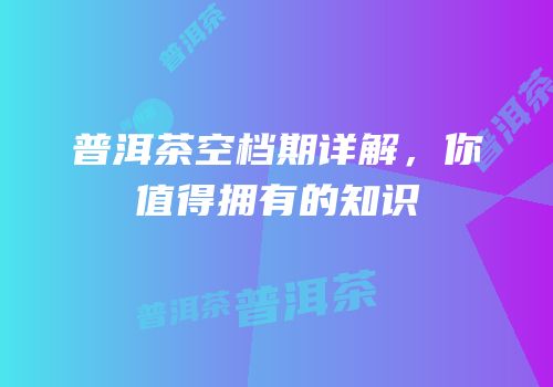 普洱茶空档期详解，你值得拥有的知识