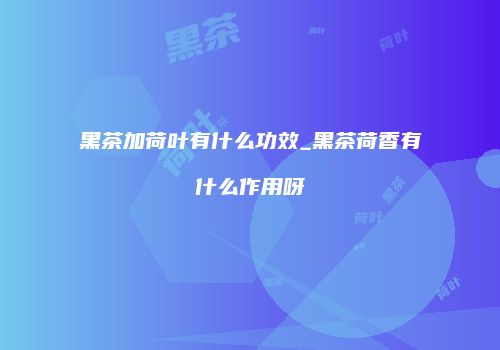 黑茶加荷叶有什么功效_黑茶荷香有什么作用呀