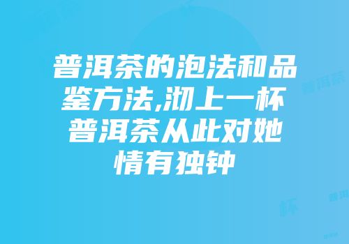 普洱茶的泡法和品鉴方法,沏上一杯普洱茶从此对她情有独钟