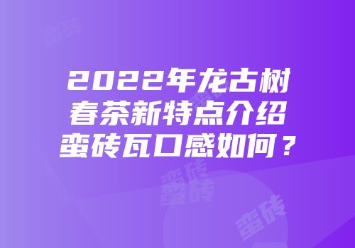 2022年龙古树春茶新特点介绍蛮砖瓦口感如何？