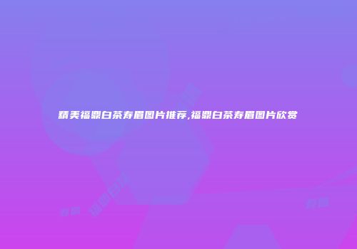 精美福鼎白茶寿眉图片推荐,福鼎白茶寿眉图片欣赏