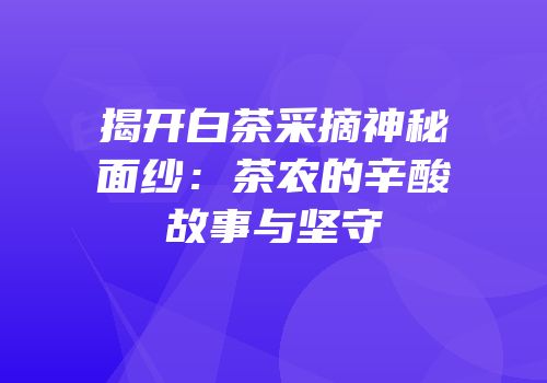 揭开白茶采摘神秘面纱：茶农的辛酸故事与坚守