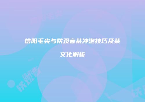 信阳毛尖与铁观音茶冲泡技巧及茶文化解析