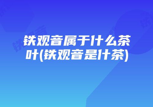 铁观音属于什么茶叶(铁观音是什茶)