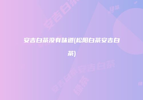 安吉白茶没有味道(松阳白茶安吉白茶)