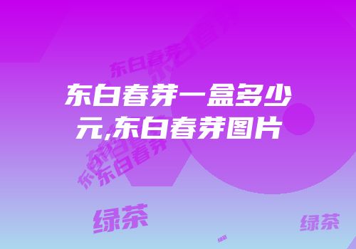 东白春芽一盒多少元,东白春芽图片