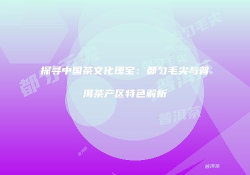 探寻中国茶文化瑰宝：都匀毛尖与普洱茶产区特色解析