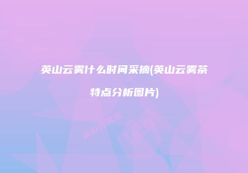 英山云雾什么时间采摘(英山云雾茶特点分析图片)