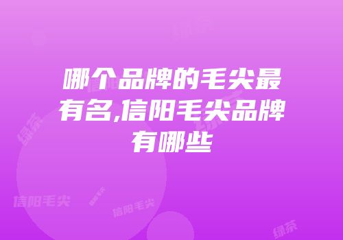 哪个品牌的毛尖最有名,信阳毛尖品牌有哪些
