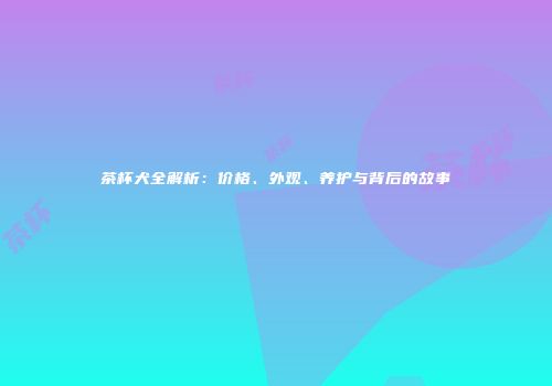 茶杯犬全解析：价格、外观、养护与背后的故事