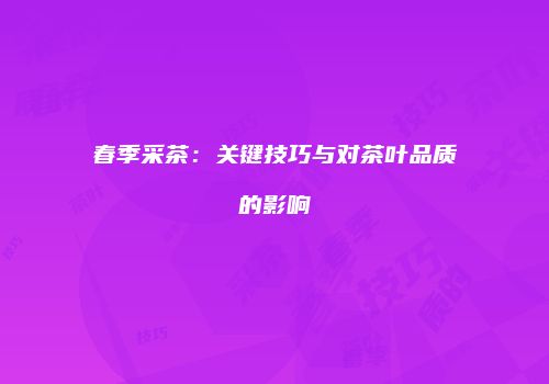 春季采茶：关键技巧与对茶叶品质的影响