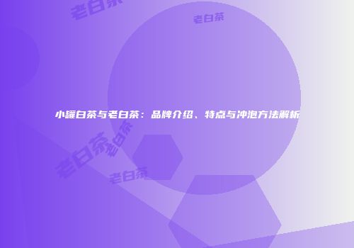 小罐白茶与老白茶：品牌介绍、特点与冲泡方法解析