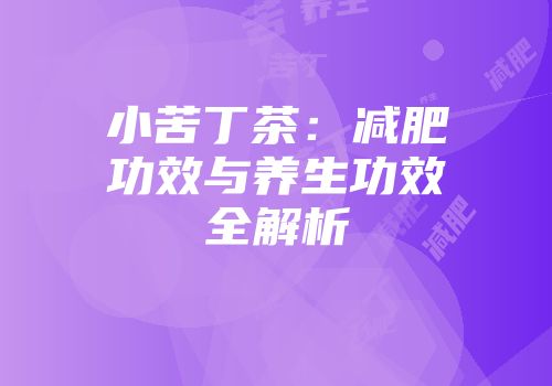 小苦丁茶：减肥功效与养生功效全解析