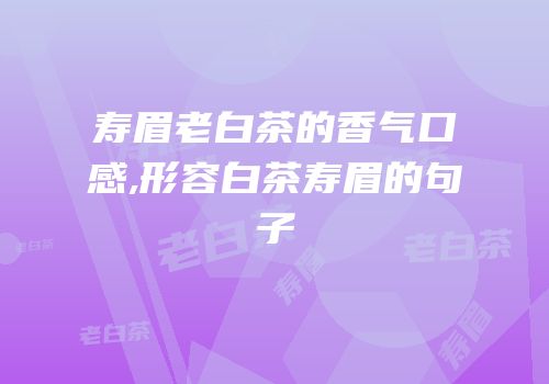 寿眉老白茶的香气口感,形容白茶寿眉的句子