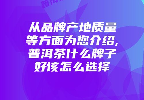 从品牌产地质量等方面为您介绍,普洱茶什么牌子好该怎么选择