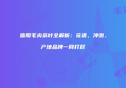 信阳毛尖茶叶全解析：花语、冲泡、产地品牌一网打尽