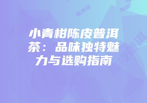小青柑陈皮普洱茶：品味独特魅力与选购指南