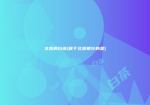 北路的白茶(属于北路银针的是)