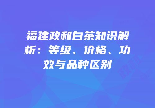 福建政和白茶知识解析：等级、价格、功效与品种区别