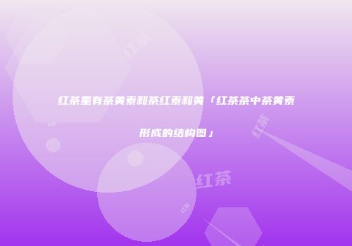 红茶里有茶黄素和茶红素和黄「红茶茶中茶黄素形成的结构图」