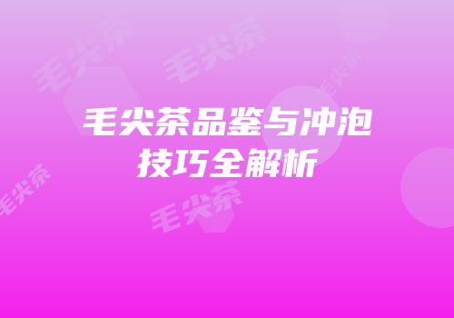 毛尖茶品鉴与冲泡技巧全解析