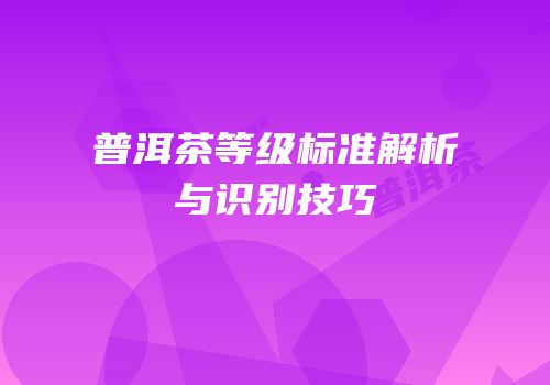 普洱茶等级标准解析与识别技巧