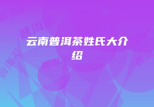 云南普洱茶姓氏大介绍
