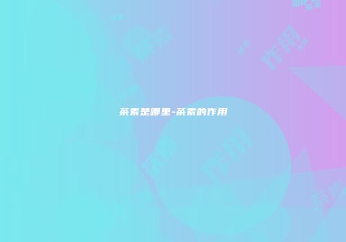 茶素是哪里-茶素的作用