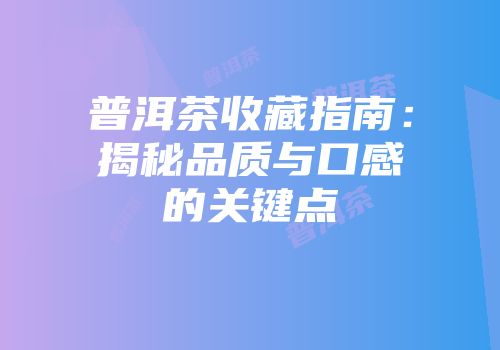 普洱茶收藏指南：揭秘品质与口感的关键点
