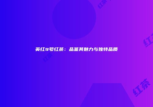 英红9号红茶：品鉴其魅力与独特品质
