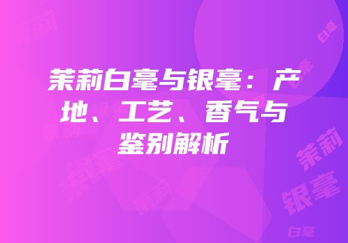 茉莉白毫与银毫：产地、工艺、香气与鉴别解析