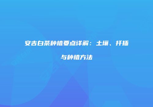 安吉白茶种植要点详解：土壤、扦插与种植方法